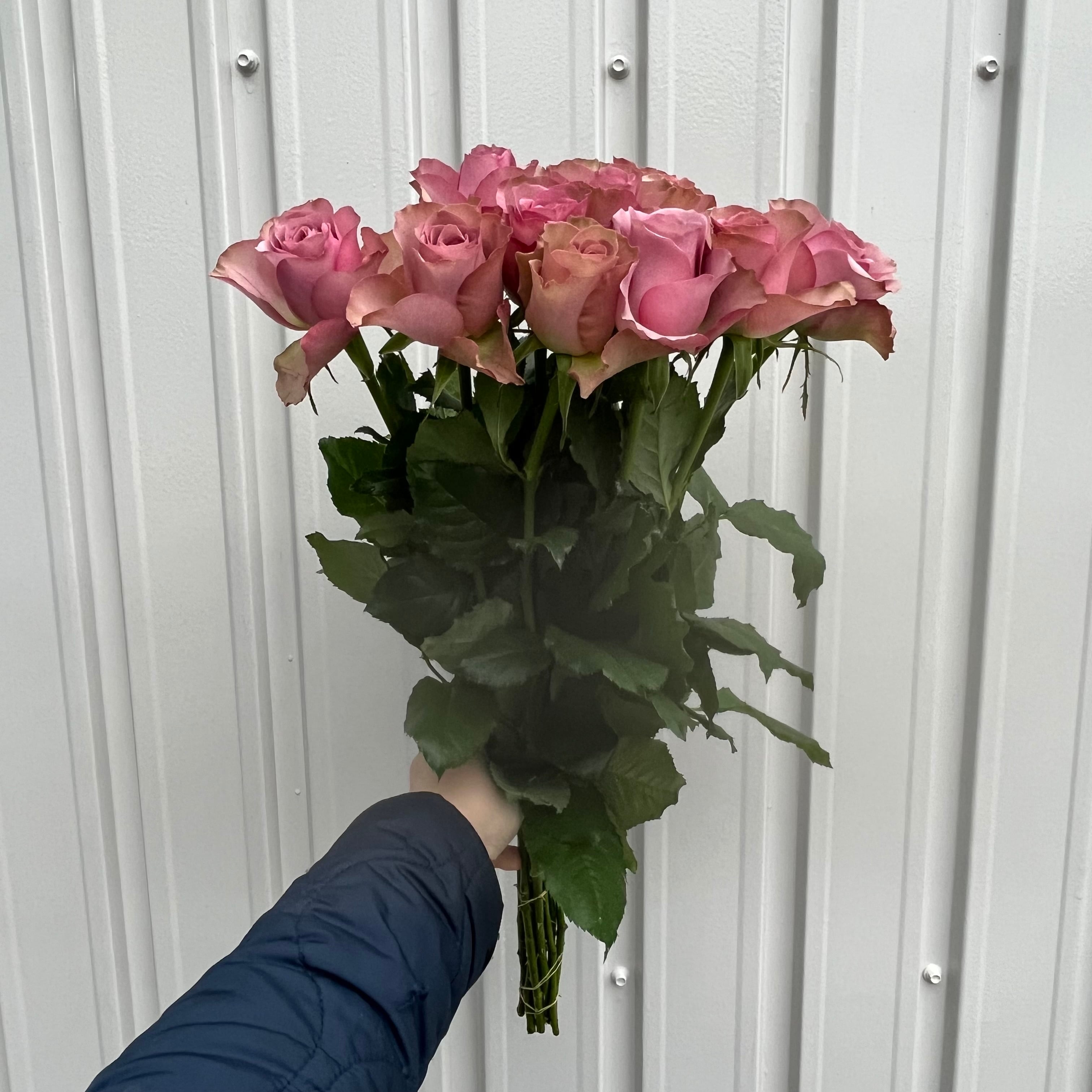 アンティークの存在感 アヴェニール 10本 | 新鮮お花問屋 Jp-Farmers.com