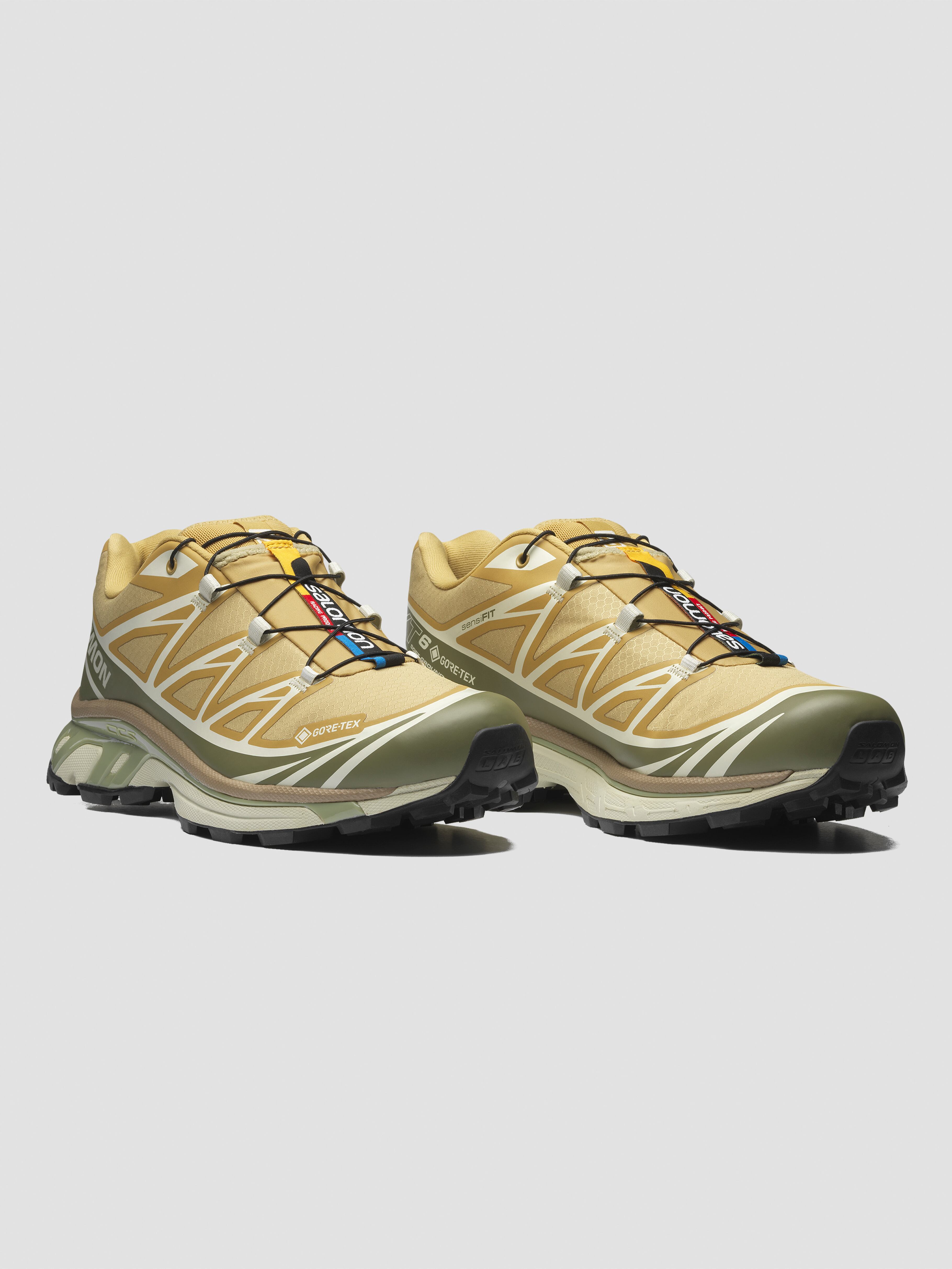 SALOMON ADVANCED XT-6 GTX Antelope/Icicle/Portabella L47581000 