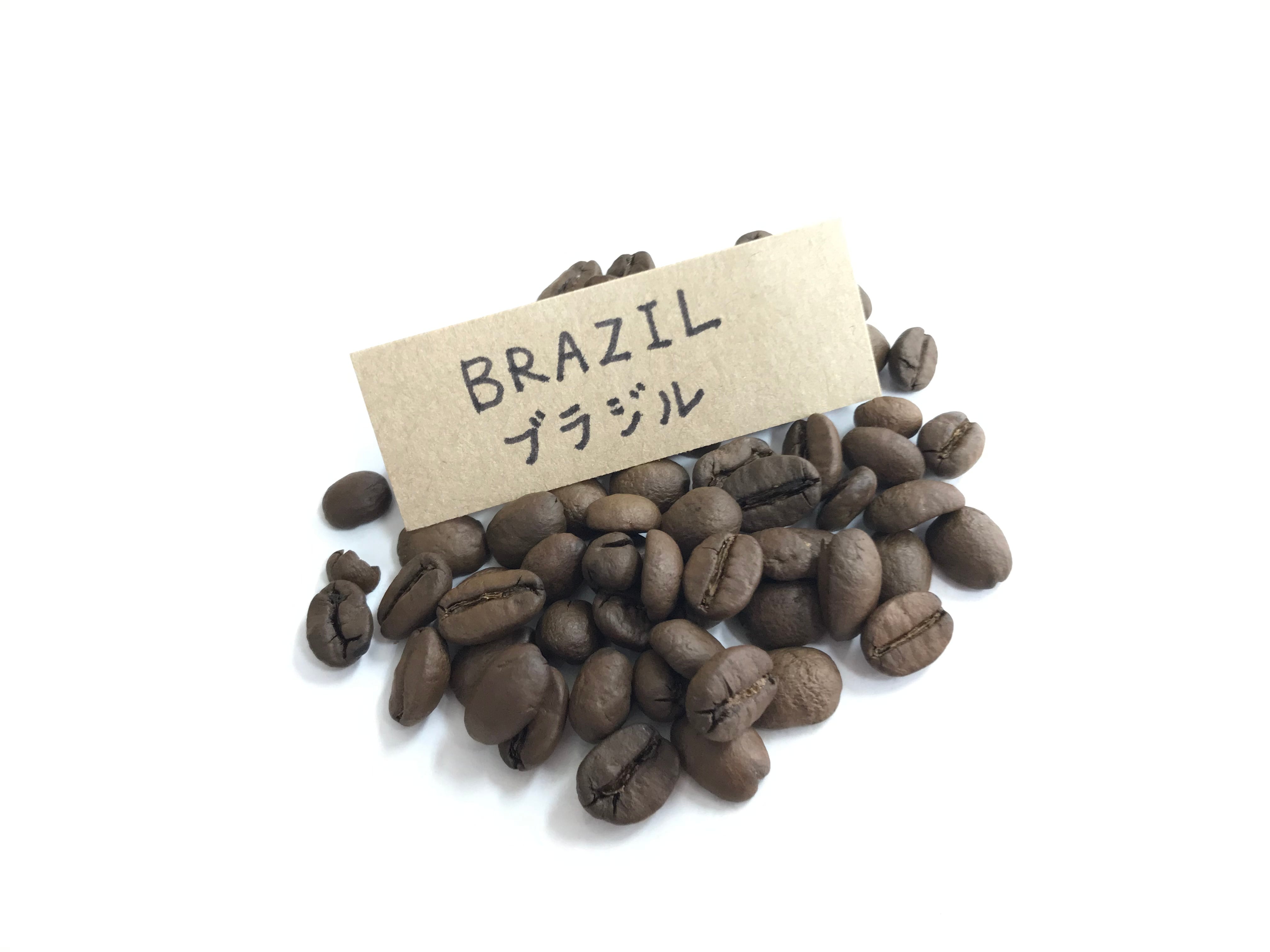 自家焙煎コーヒー豆 ブラジル産 200g×3袋 自家焙煎 コーヒー豆 200g - ブラジル 【公式通販】