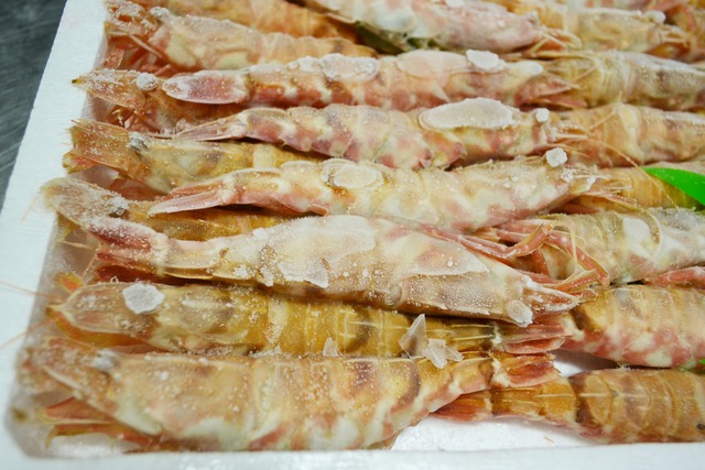 白エビ（40匹）