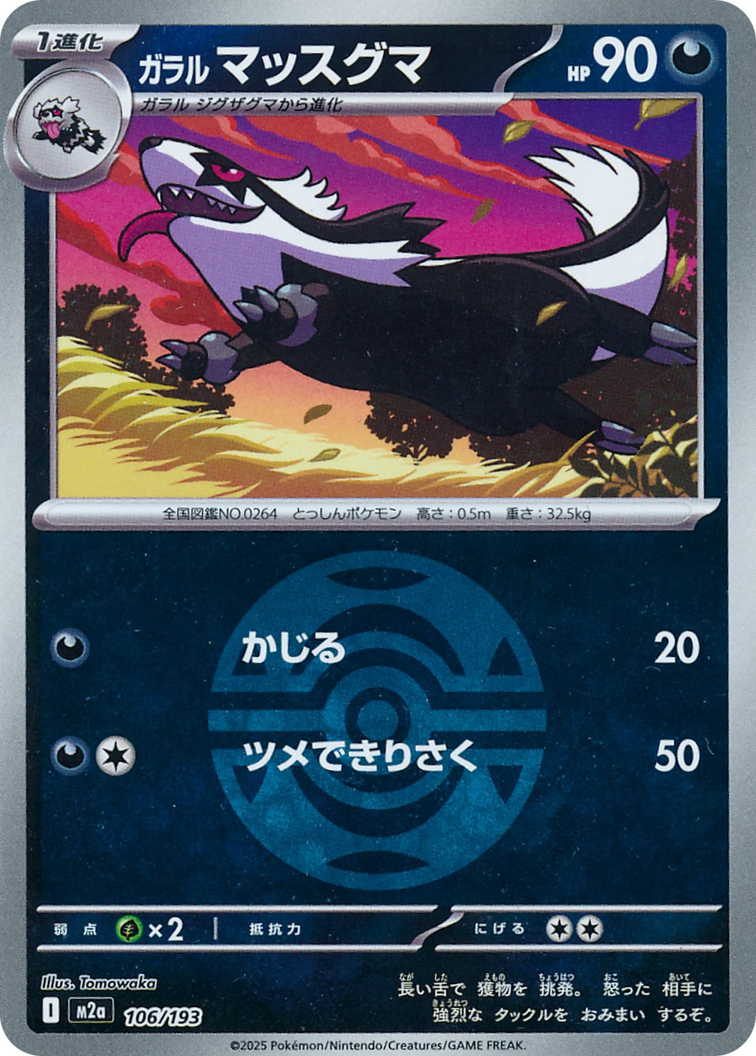 リザードンex SR SV3 125/108 - | ポケモンカード専門店 Cobalt Cave