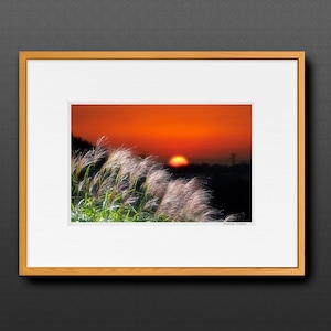 帰り道 ■額縁サイズ(大全紙)726×544mm