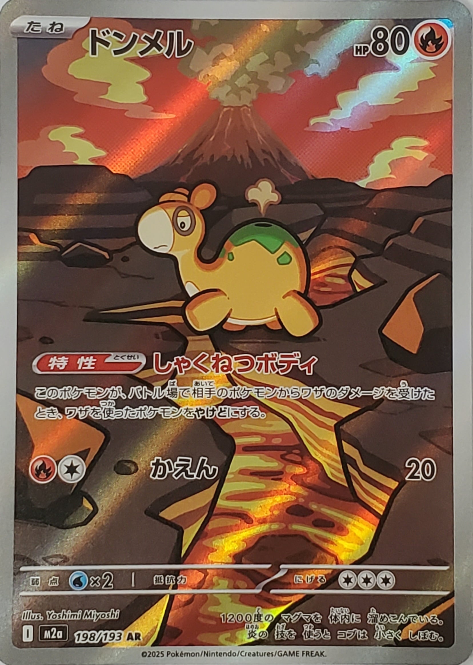 2026年 ポケモンカードBOX確定 福袋 | PAY ID