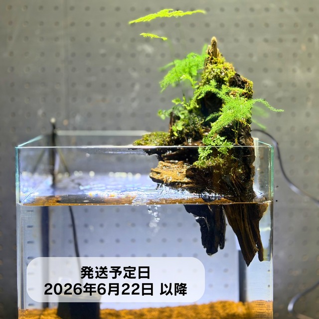 ヒロセペット成田空港店