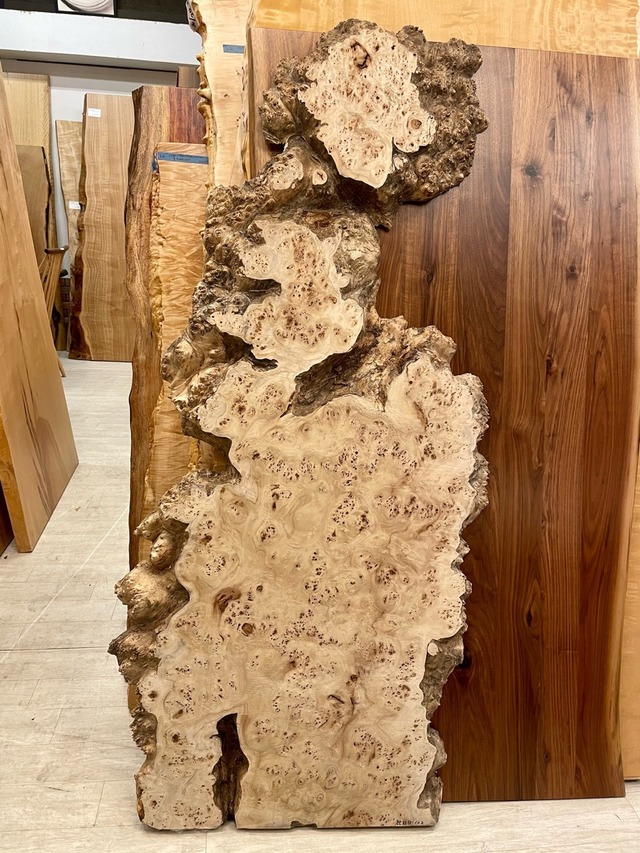 ポプラ瘤_1650×800-850×45_浅草本店_オーダー用原板 A1142