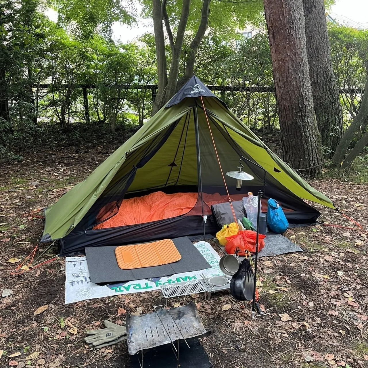 「MOGAMI 1P」　Sumo Equipment　5月下旬お届け予定 - 2