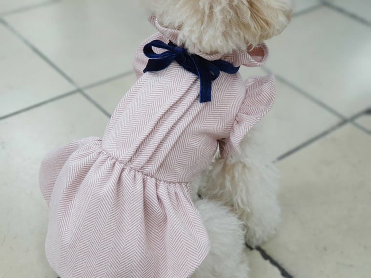 【SALE】エレガンスフリルワンピース S ~ XL /  犬服 秋冬 新作 可愛い 犬の服 ドレス お揃い ドッグウェア 小型犬 中型犬 猫 onepiece42