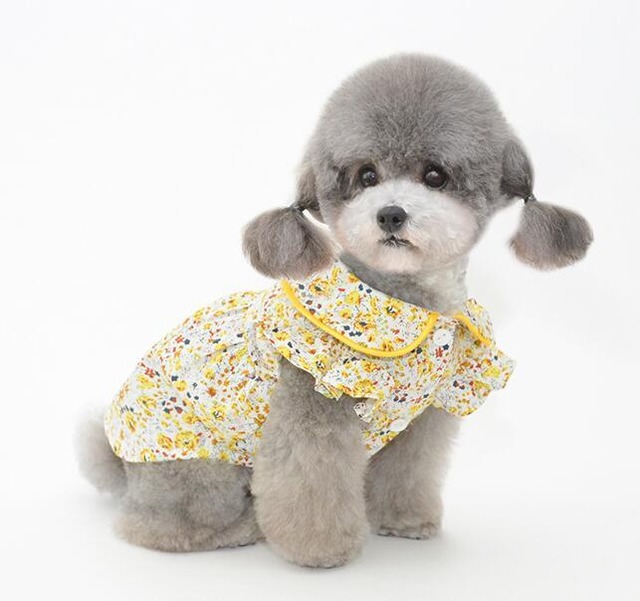 【フリーサイズ】 お花好き必見 春夏用 ペット服