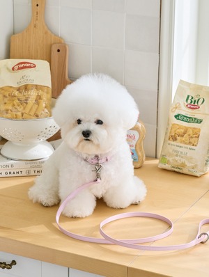 即納【stroll】Lumiere Leash (Pale Pink)