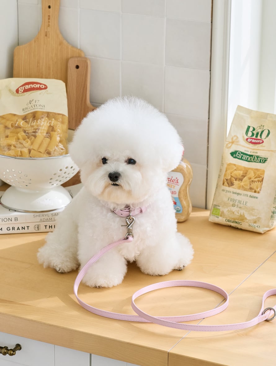 即納【stroll】Lumiere Leash (Pale Pink)