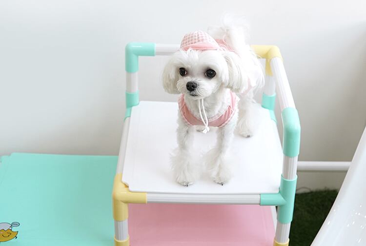 【SALE】 hiyoko onepiece set 2color S ~ XL  /  犬服 春夏 新作 ドッグウェア 袖なし シンプル フリル ドレス お揃い 犬の服 小型犬 中型犬 帽子セット 猫 onepiece44