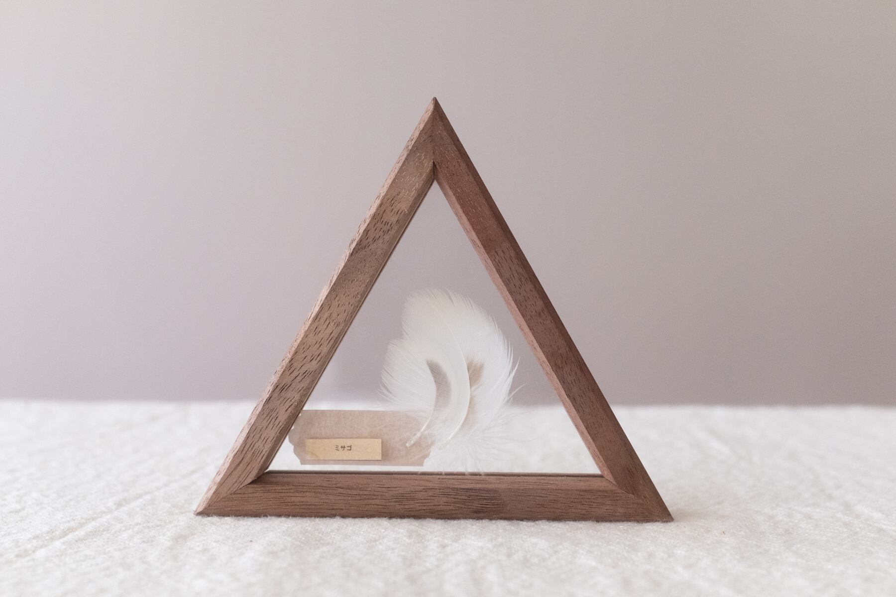 空中標本 - ミサゴの羽 | ATELIER de MIOMORI｜アトリエ・ド・ミオモリ