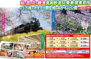 2020年3月東京発,真岡鉄道SL列車で桜と菜の花ダブル観賞とカタクリ群生地観賞日帰りバスツアー8980円