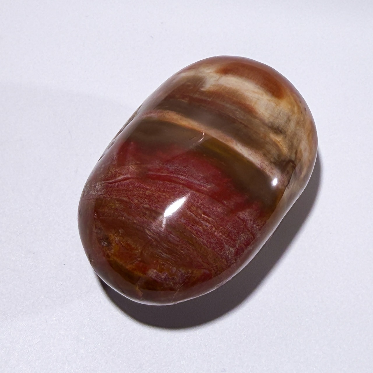 ペトリファイドウッド01 パーム ＊ Petrified Wood ＊ 天然石