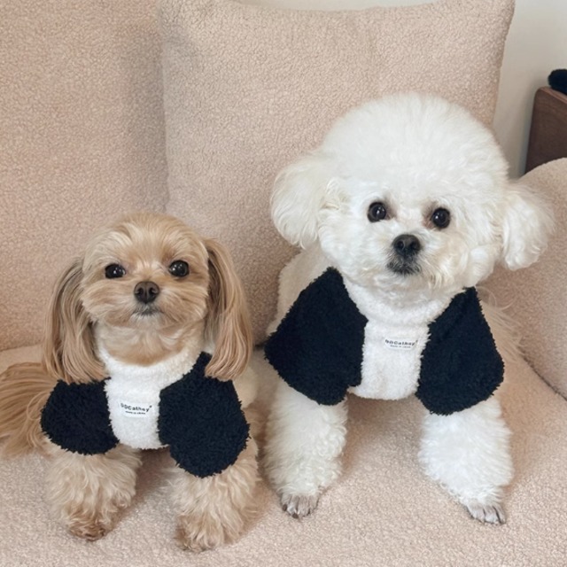 ふわもこパンダルック ペットウェア【sam017】