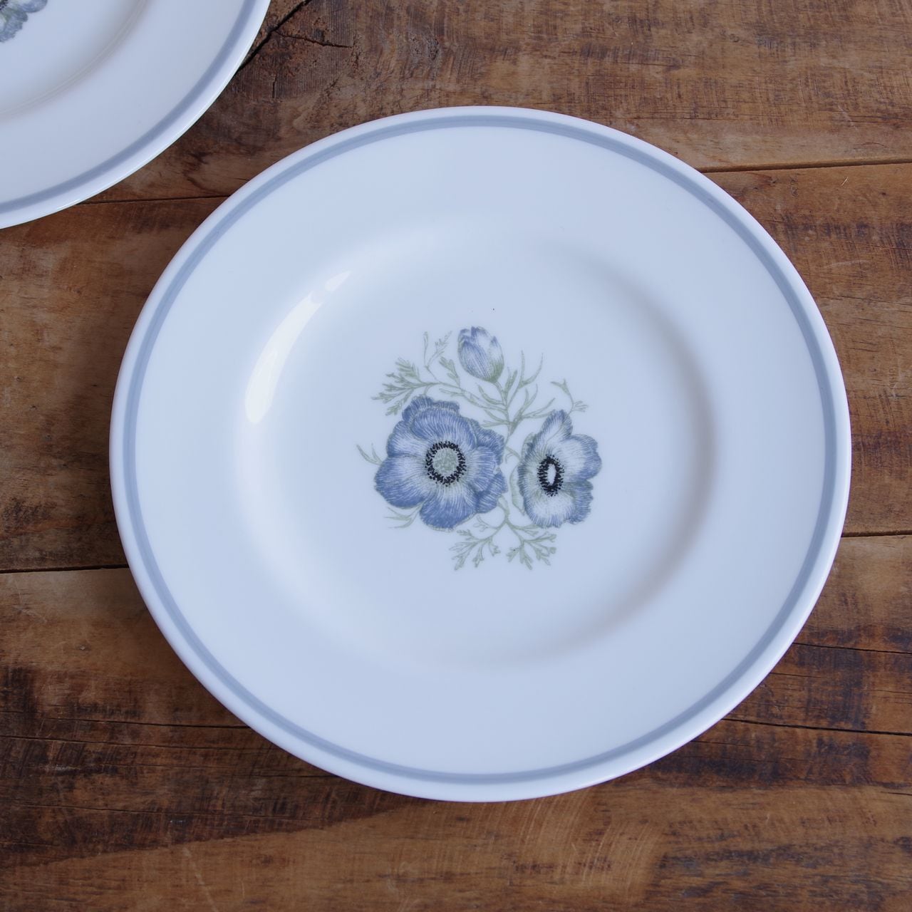 スージークーパー | Flohmarkt フローマルクト