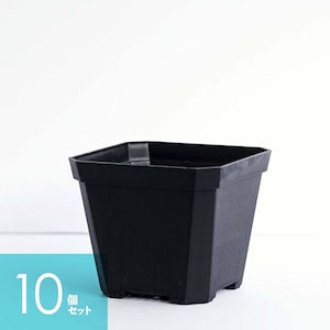 Solid Square Pot  10cm ブラック 10個セット