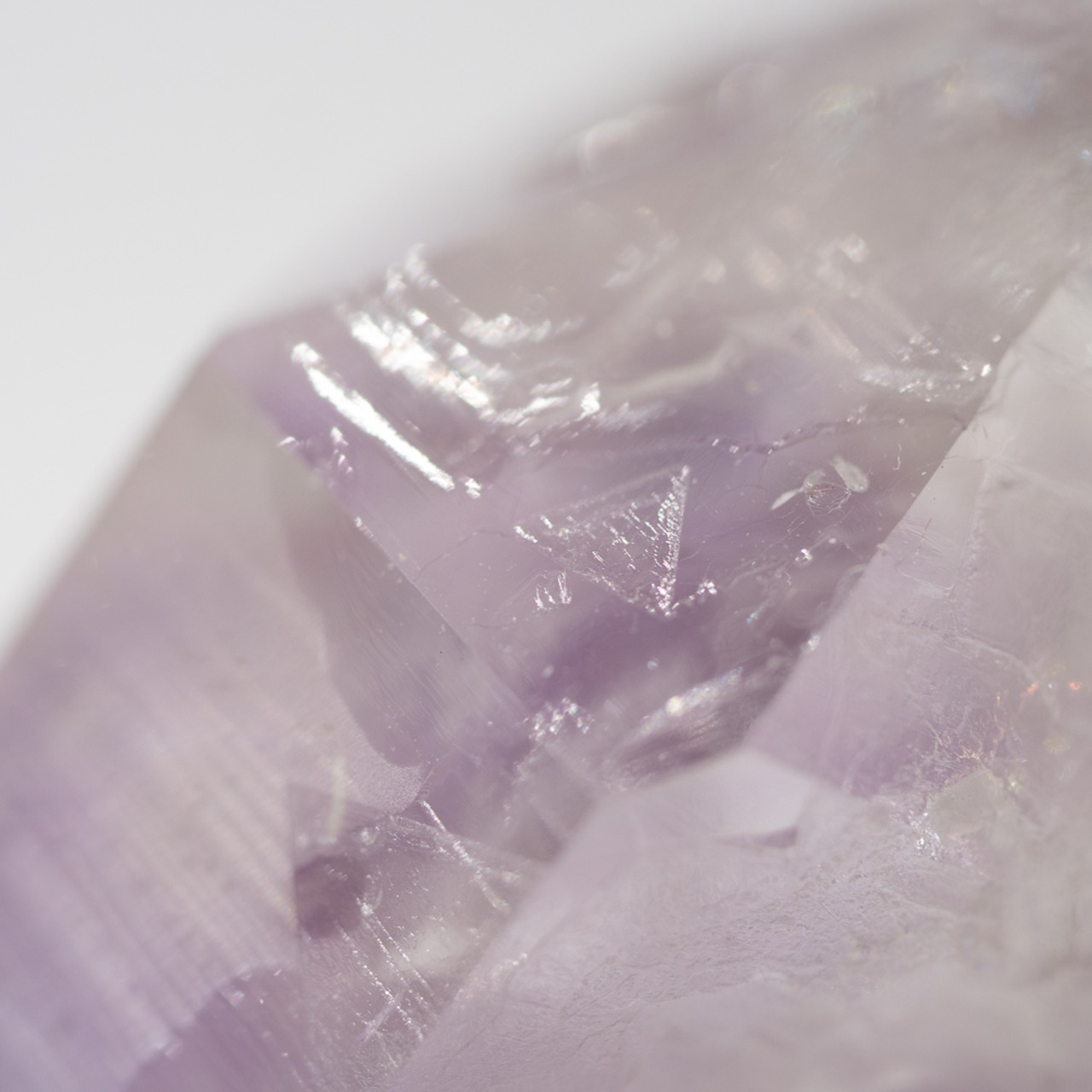 ブランドバーグ ゴボボセブ アメシスト アメジスト / 原石 標本【BIG_2】