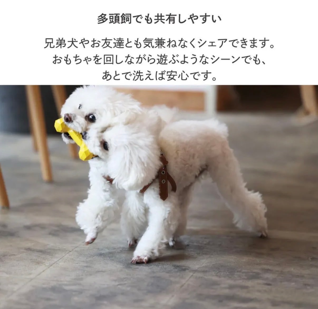 【PETOY】BONE BONE BONE（ボーン ボーン ボーン）見た目はカクカク、噛み心地はしっかりフィットするおもちゃ