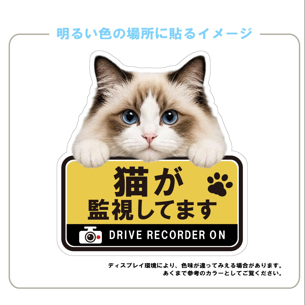 ラグドール・猫・CAT・cat・ドライブレコーダー・ドラレコステッカー・撮影中・車・ステッカー・インクジェット印刷・角ゴシック・屋外用・猫好き・ドライブグッズ・監視しています・おもしろい・かわいい・肉球