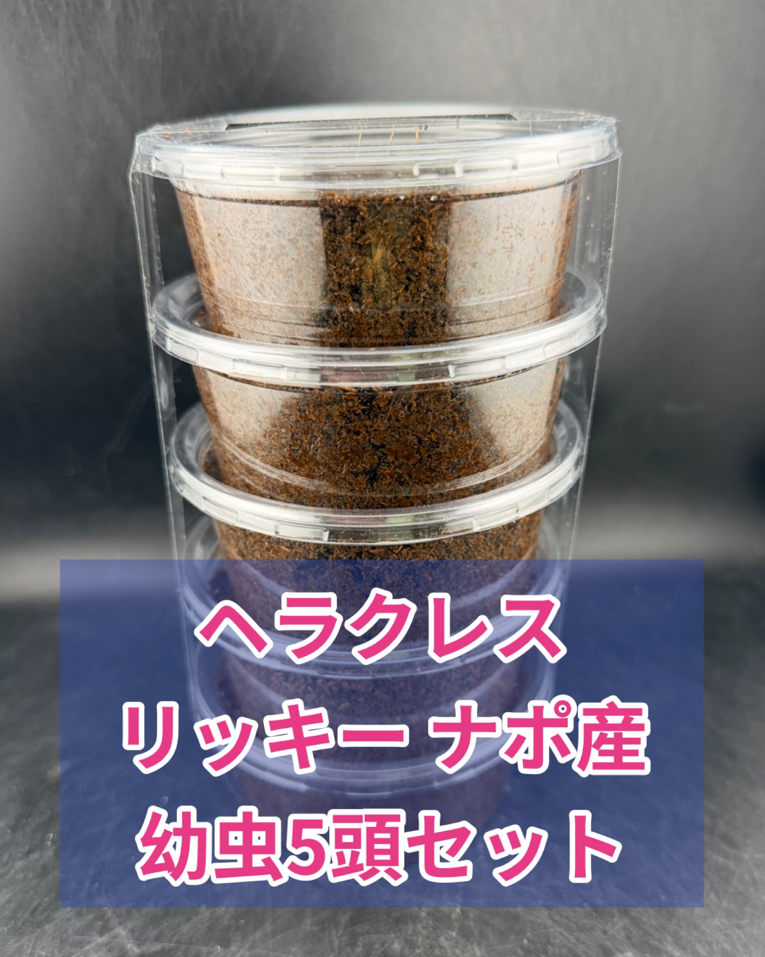 PPボトル 800cc 不織布なし | KPW BASE店