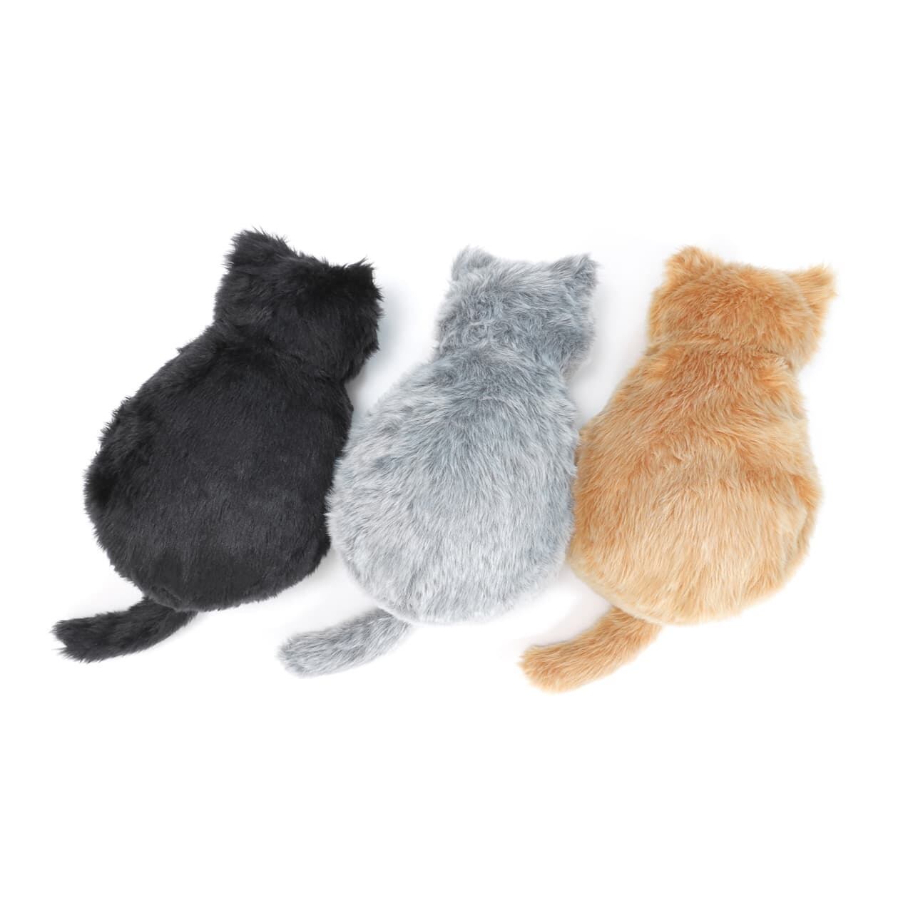 癒やされる白いモコモコ、その名はミャウエバー CocoMeow／ココミャウ