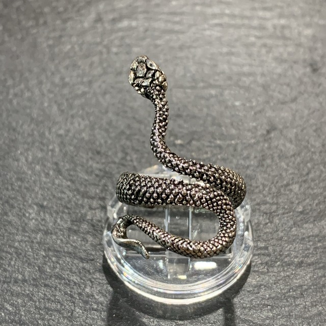 銀蛇 ぎんだ の指輪 異世界雑貨屋 銀蛇 ぎんだ の指輪 異世界雑貨屋