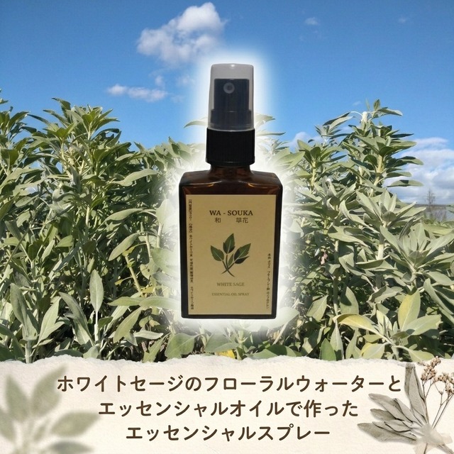 ホワイトセージ栽培家が作った国産ホワイトセージエッセンシャルスプレー30ml 自家栽培/自家蒸留/浄化/ヒーリング/スマッジング/精油/オイル/アロマ