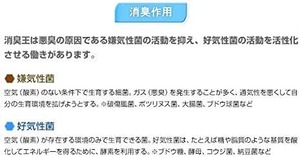 消臭王GT-S 液体・無臭 ２０リットル これぞ本物 あらゆる悪臭を完全分解