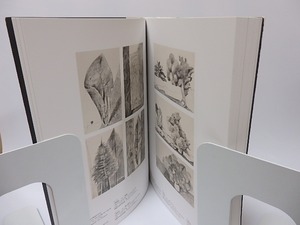 （図録）マックス・エルンスト　フィギュア×スケープ  Max Ernst　figure x scape　/　　　[25841]