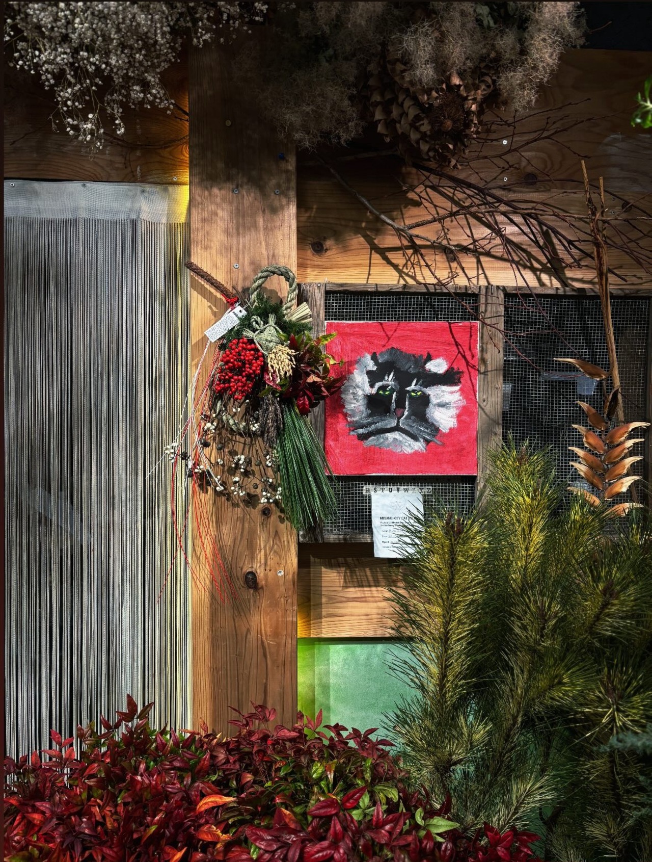 【お届け専用商品】縁起しゃいこう新潟県産コシヒカリ装備の藁亀様〆飾り2026