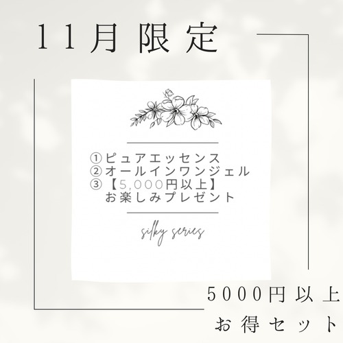 【5,000円以上お得】11月限定セット