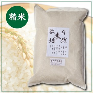 自然栽培米コシヒカリ　精米5kg（令和5年産）