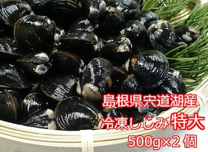 冷凍しじみ 特大(殻幅14mm～16mm) 500g入り  2個（税込・送料込）