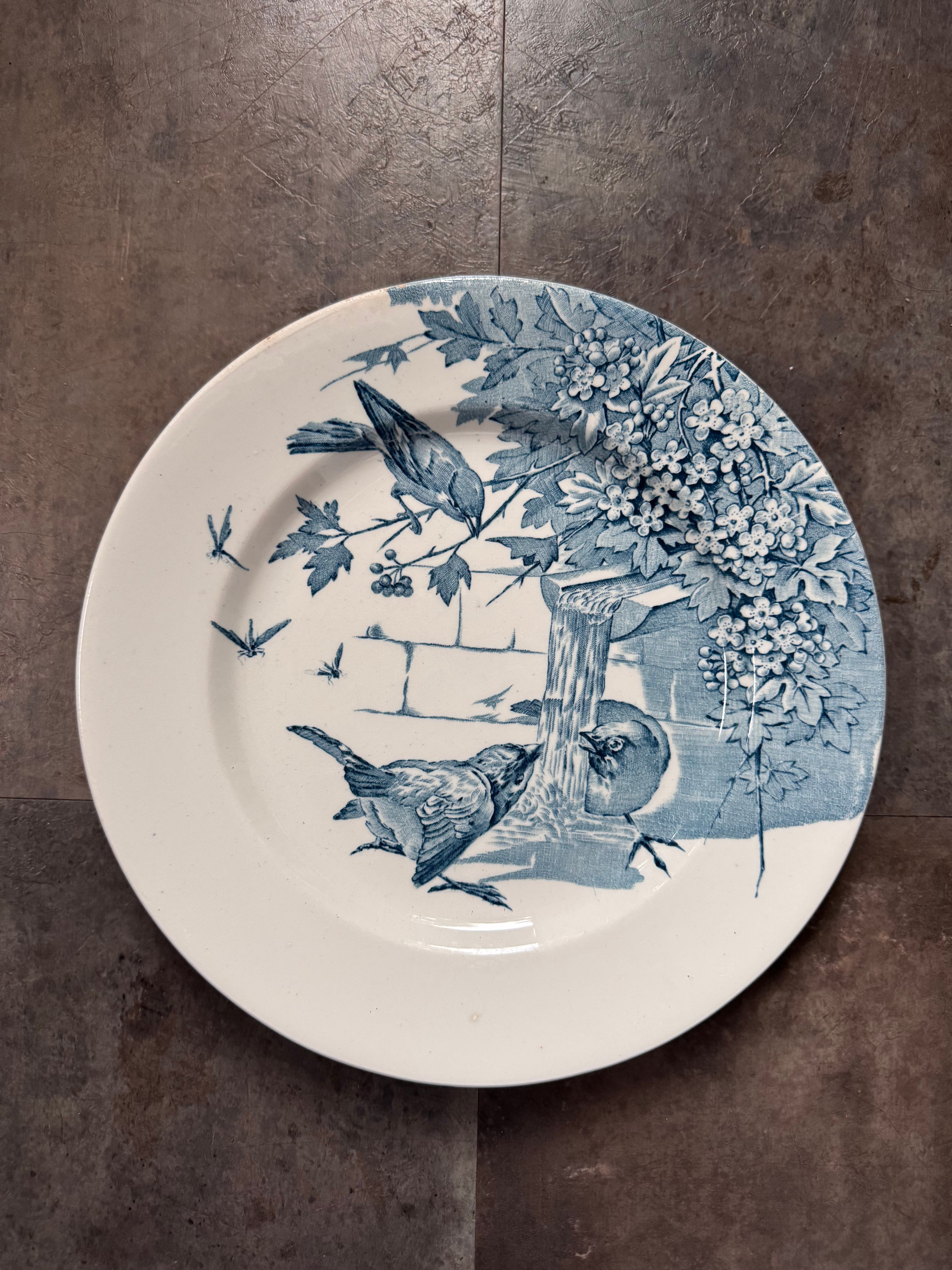 サラン窯 小鳥のディナープレート