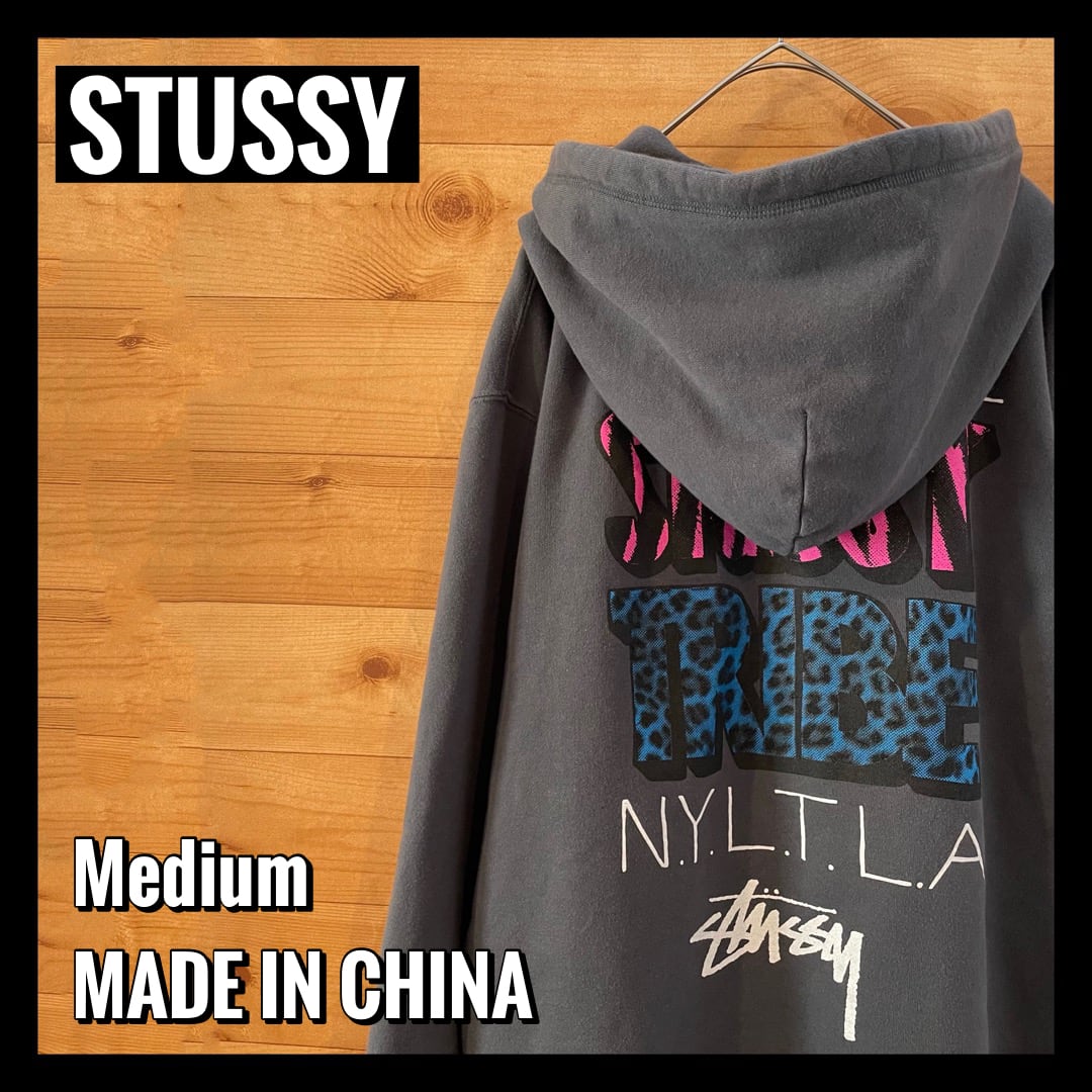 STUSSY】International St?ssy Tribe ステューシー バック