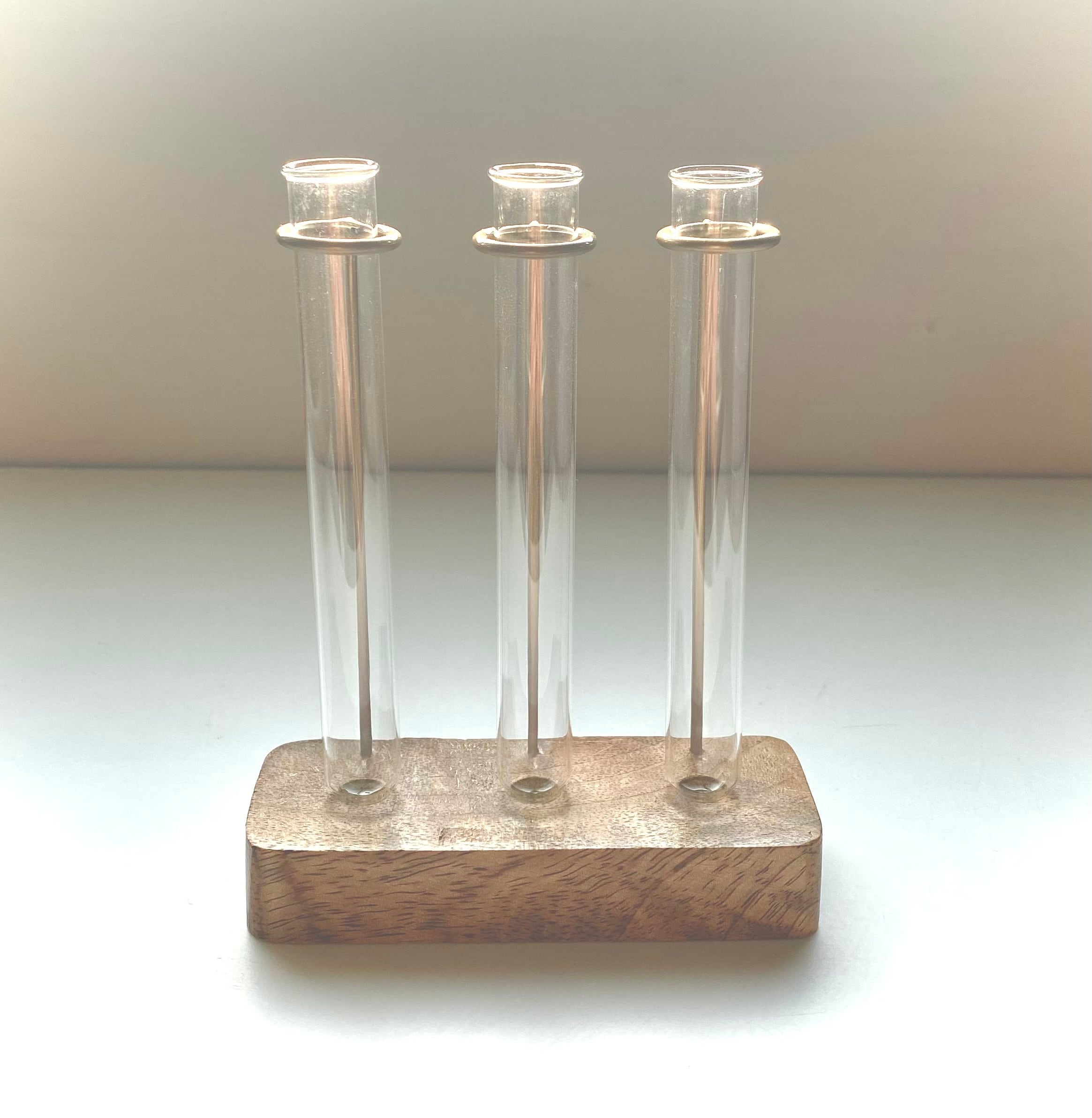 triple glass（ガラス製試験管の歯ブラシスタンド）3本用 | nhes8739