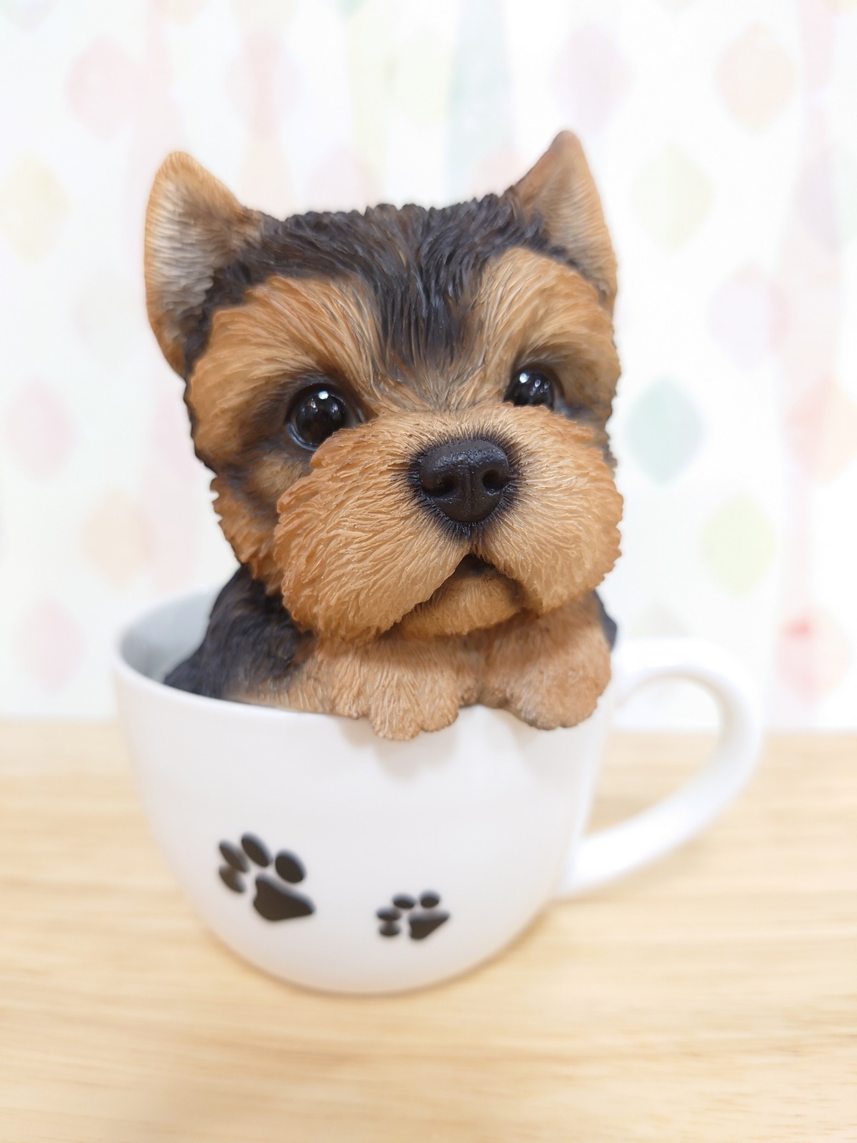 ティーカップドッグ（ヨークシャーテリア） setofusa