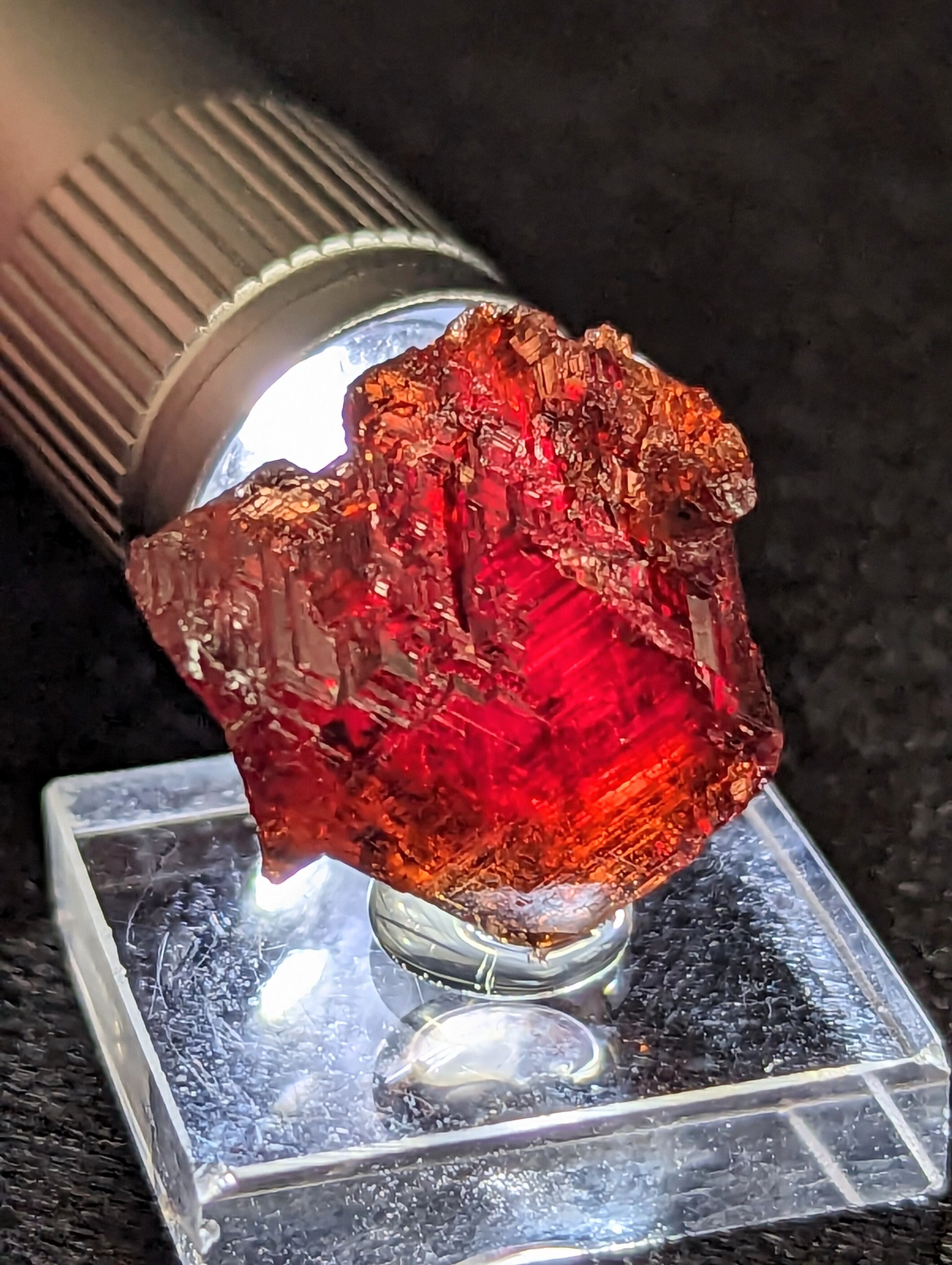 maru様専用 アスティエ ハート オーナメント 【公式通販】