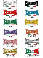 【高級】プレミアムモデル