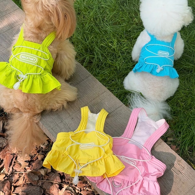 colorful frill swim harness & leash set