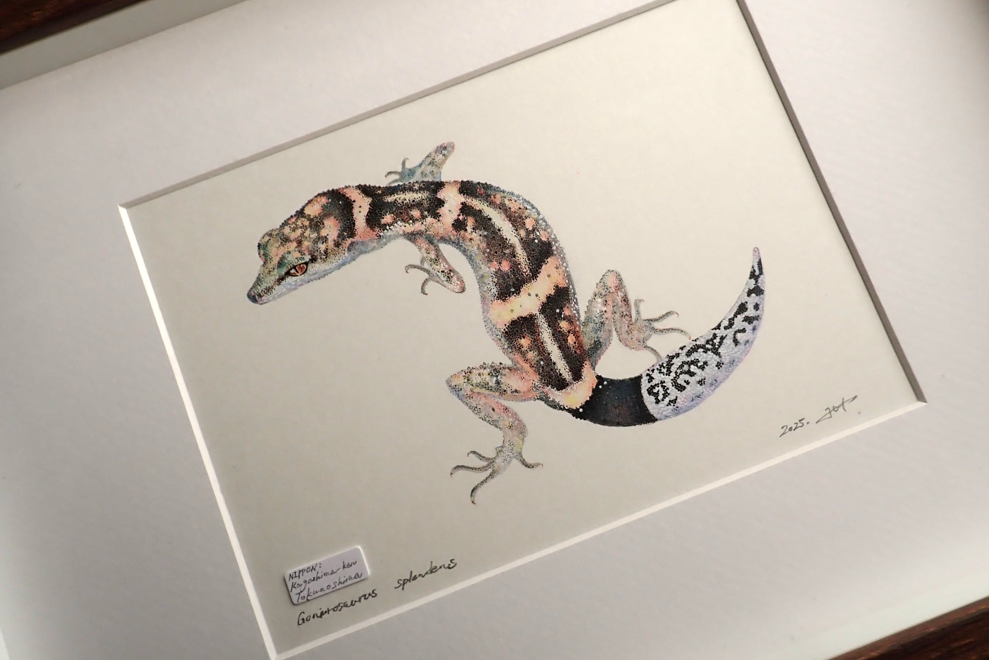 オビトカゲモドキ原画 | BUG-U