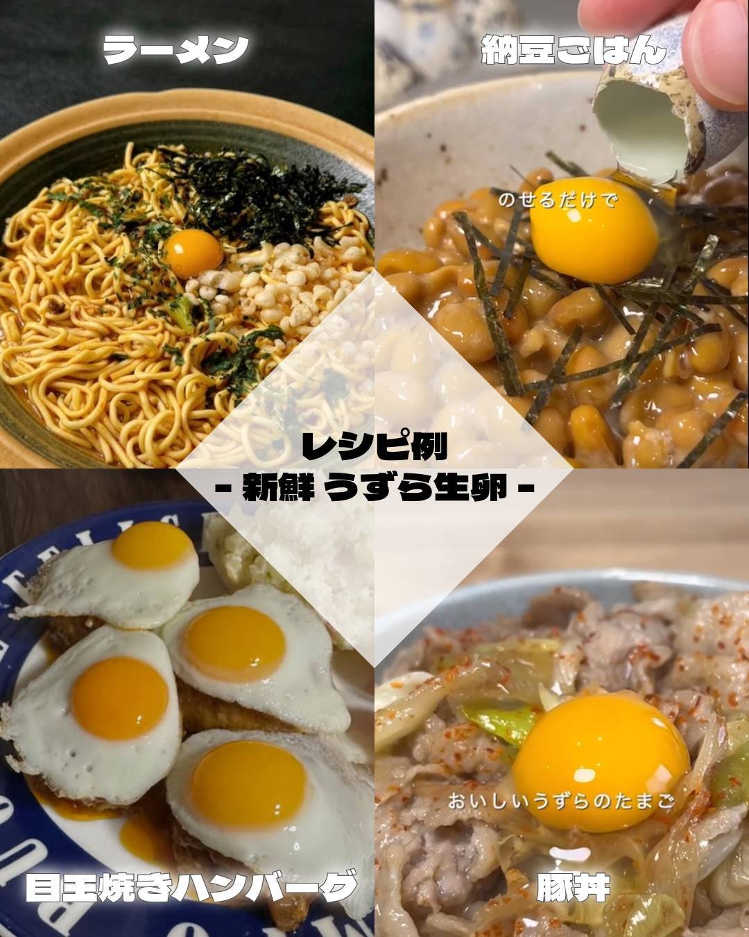 うろつく玉座　2枚セット 生食用殻付き鶉卵 スターターセット | 豊橋養鶉農業協同組合