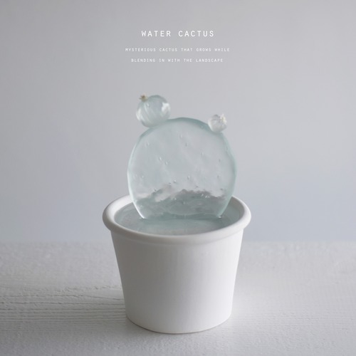 water cactus（大丸盆）