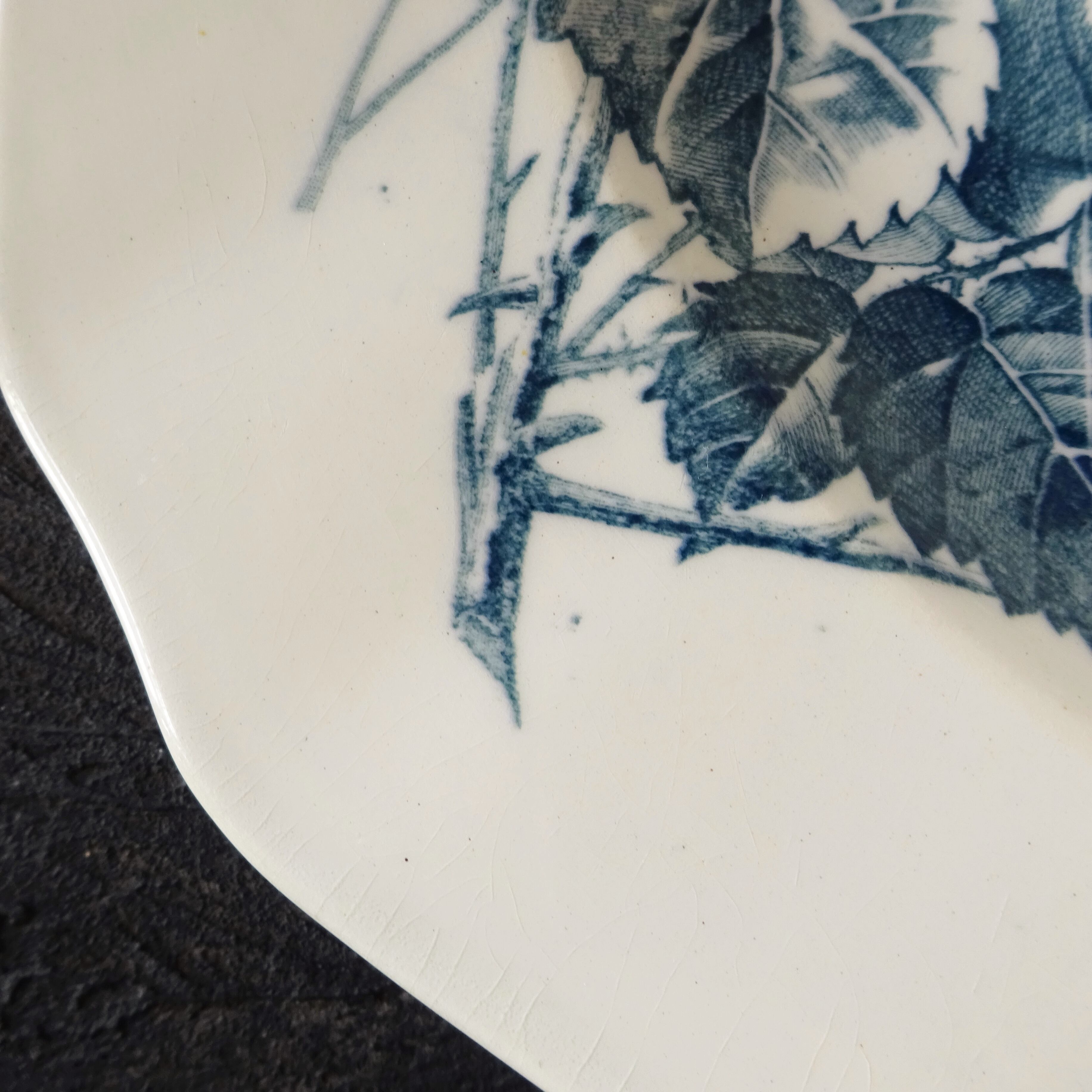 【 Épuisé 】KG Lunéville  modèle《RONCE》Assiette creuse