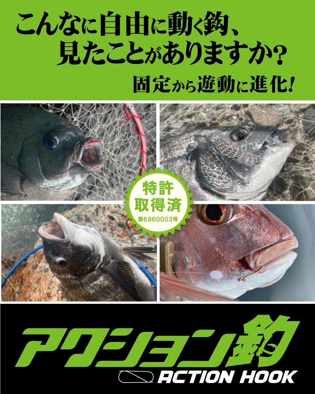 カン付チヌ鈎1号＋リング＋ハリス(3本完成セット） | TSURI REVIEWストア