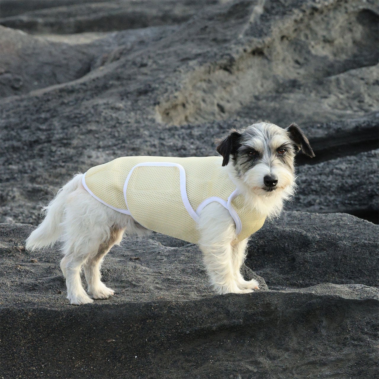 スーパークーリングベスト(未使用　2023年モデル)ALPHAICON スーパークーリングベスト(未使用 2023年モデル)ALPHAICON