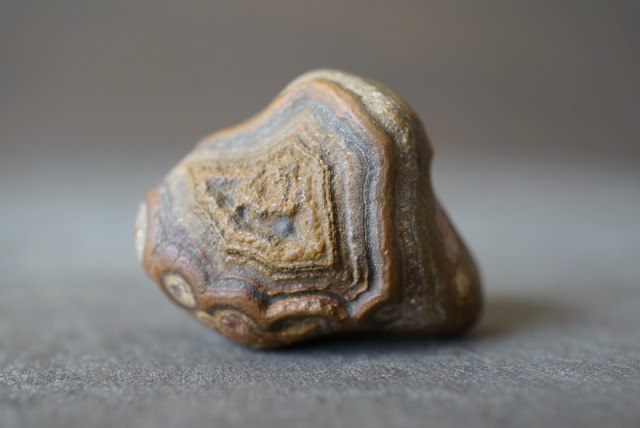 ゴビアゲート Gobi Agate 1315