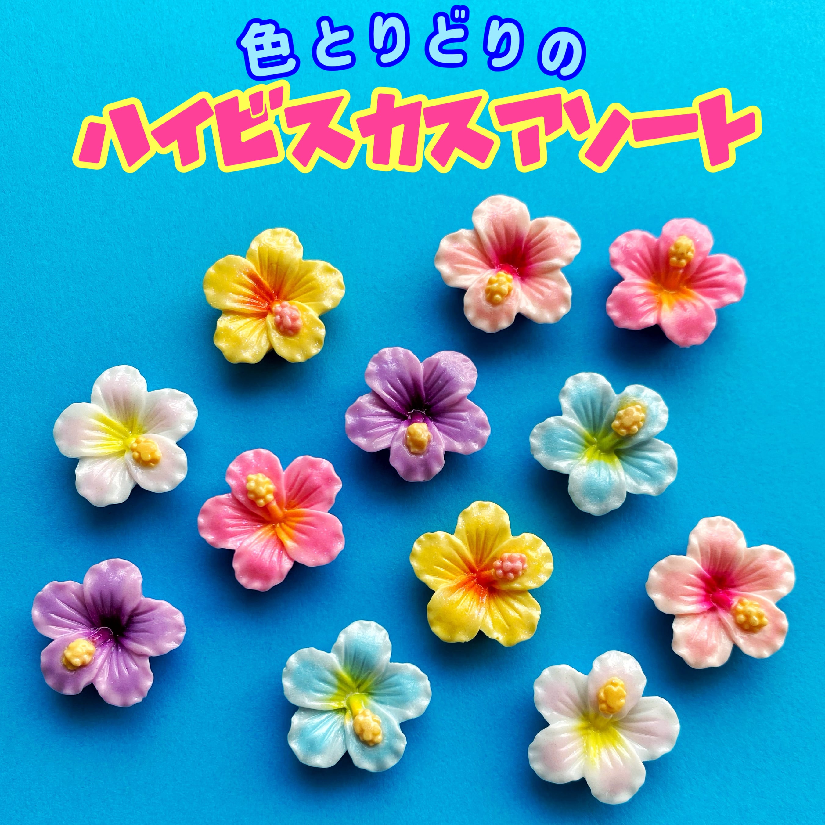 色とりどり ハイビスカス アソート 6個