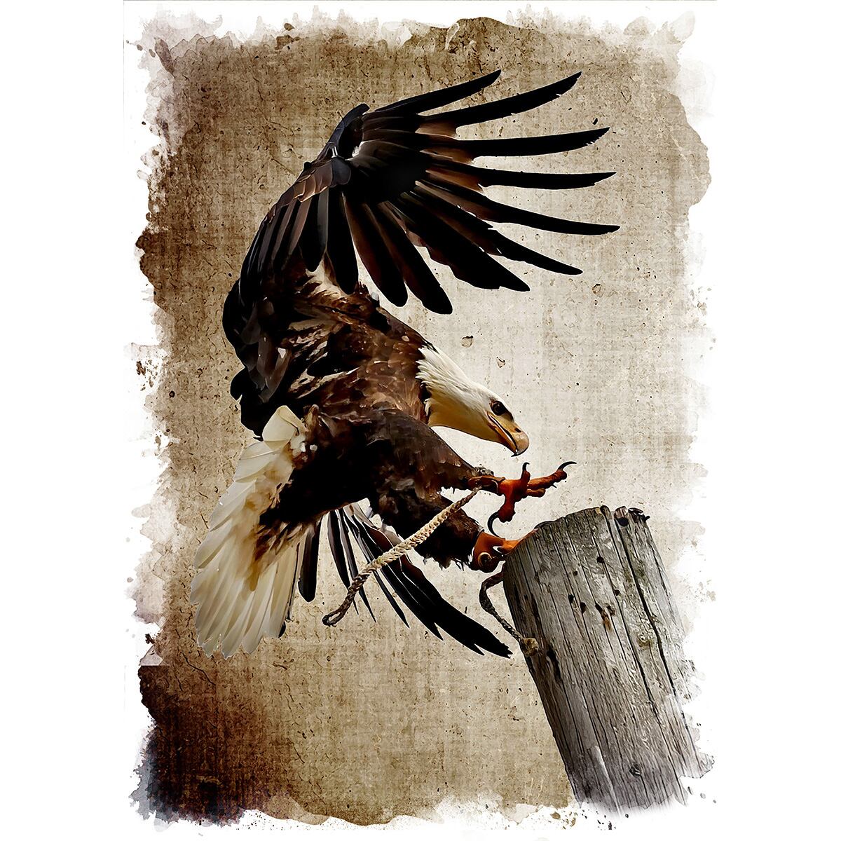 絵画 動物 鳥 ハクトウワシ インテリアアート額付き 水彩画・油絵風